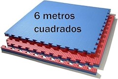 ¿Cuáles son las ventajas y desventajas de los tatamis bicolor?