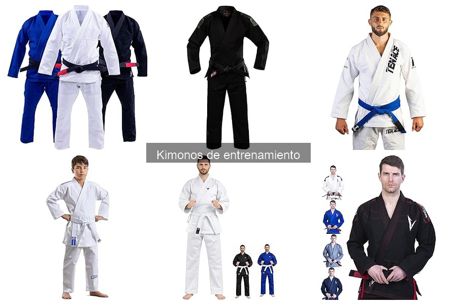 Alternativas a los Kimonos de Entrenamiento en Artes Marciales