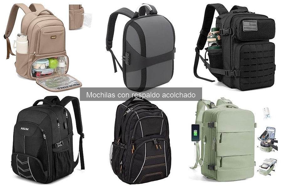 Comparativa: Mochilas con Respaldo Acolchado vs Estándar