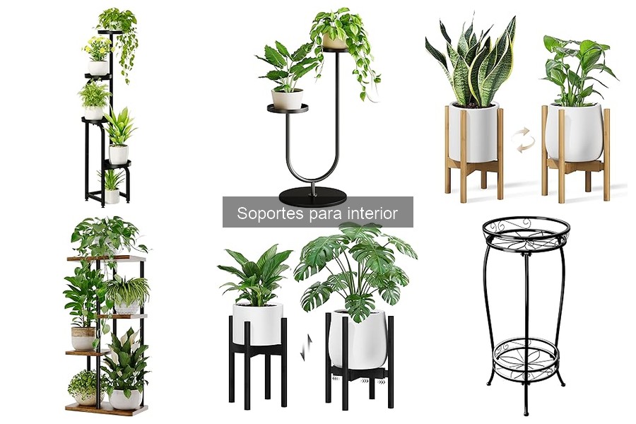 Dónde comprar soportes para interior y precios recomendados
