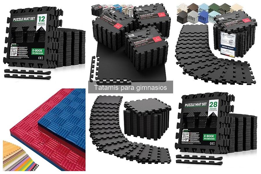 Dónde Comprar Tatamis para Gimnasios en Línea