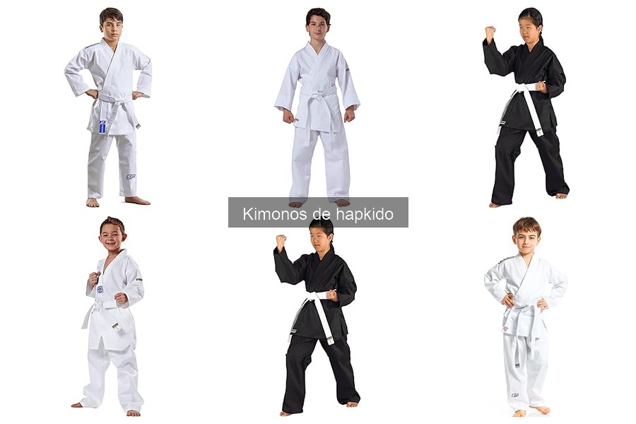 Kimono de Hapkido para Principiantes vs. Avanzados
