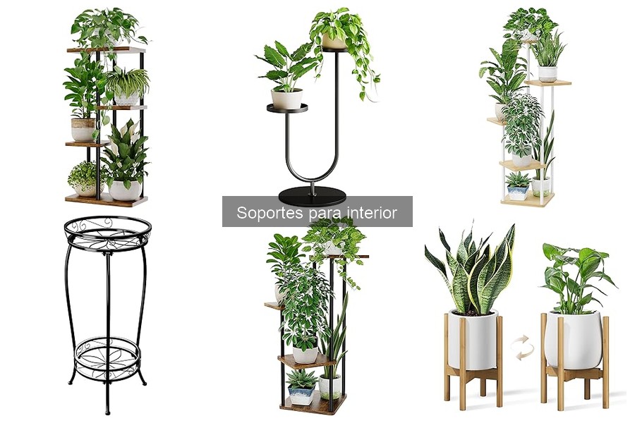 Mantén en buen estado tu soporte para interior: consejos prácticos
