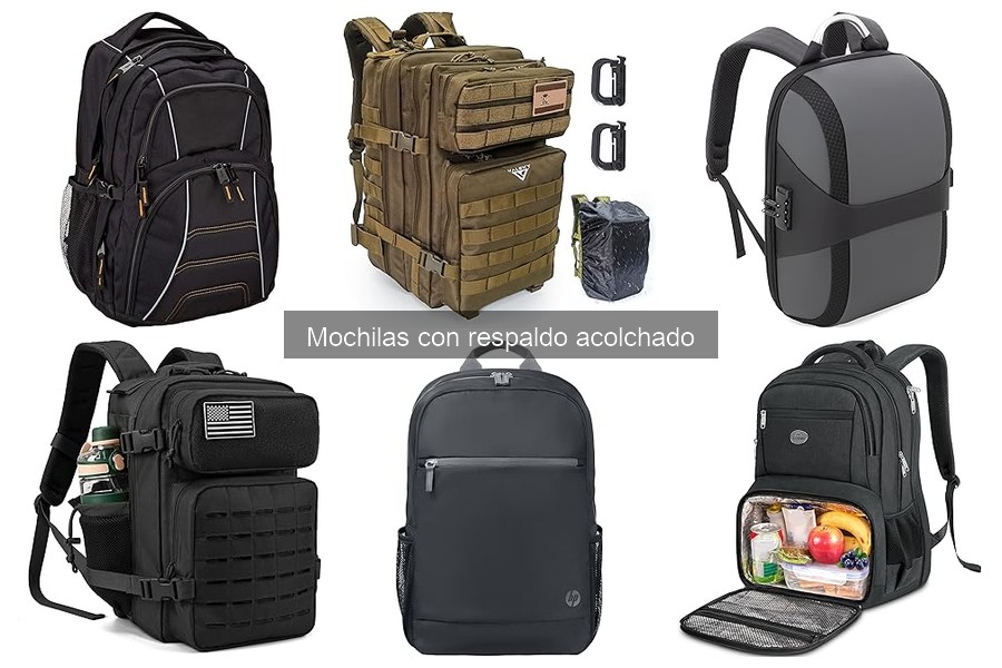 Mochilas con respaldo acolchado: características y ventajas