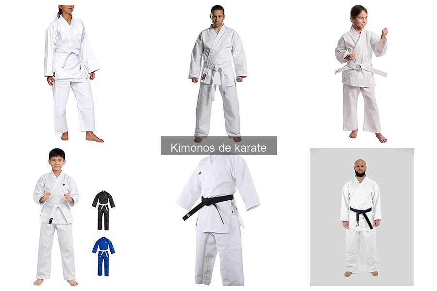 Opiniones sobre Kimonos de Karate: ¿Cuál Elegir?