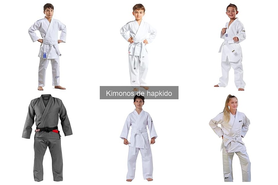 Precios de Kimonos de Hapkido y Dónde Comprarlos