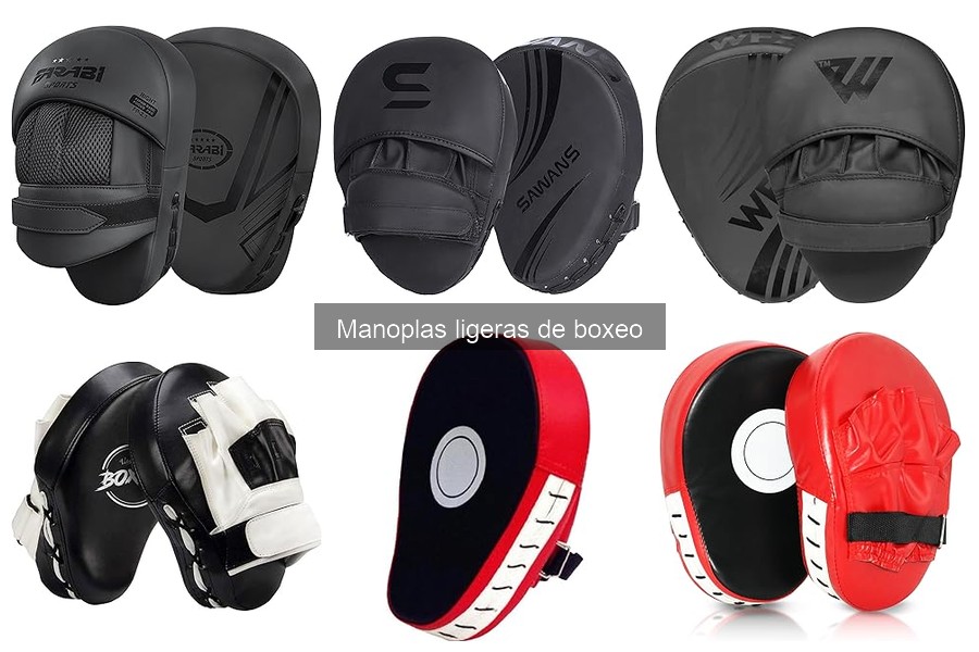 Precios de manoplas ligeras de boxeo: guía de compra