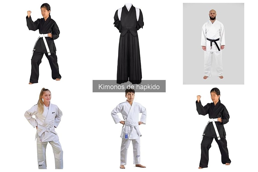 Reseñas de Kimonos de Hapkido: Opiniones y Comparativas