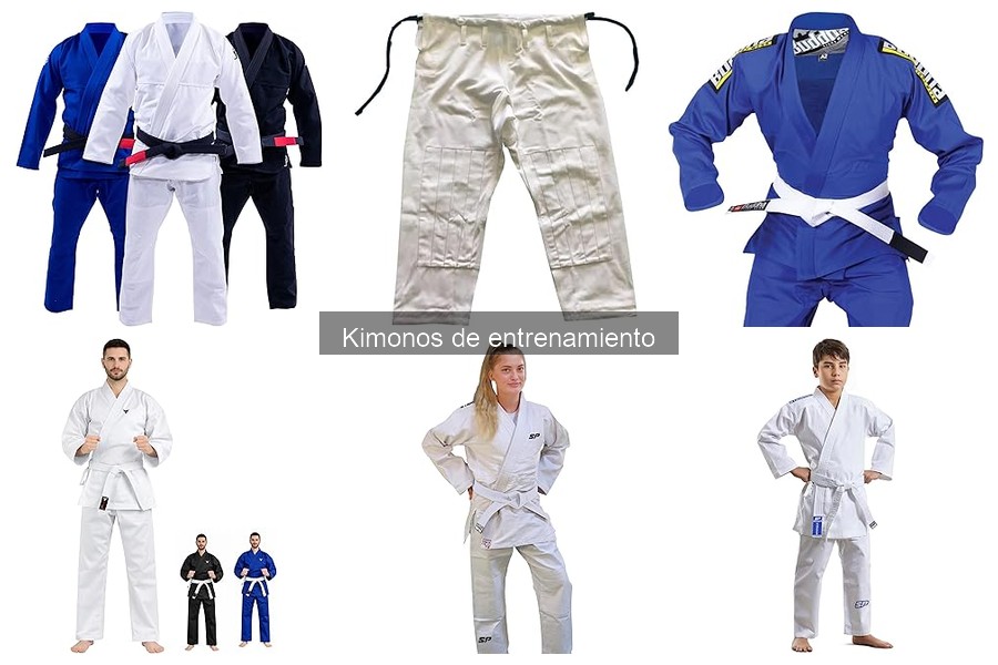 Tipos de Kimonos de Entrenamiento: Diferencias y Usos