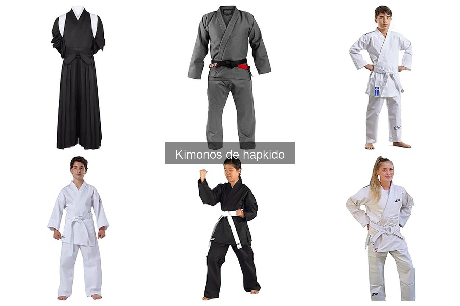 Tipos de kimonos de hapkido: guía de estilos y usos