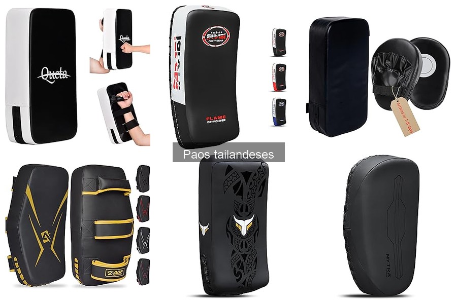 Ventajas y desventajas de los paos tailandeses para entrenamiento